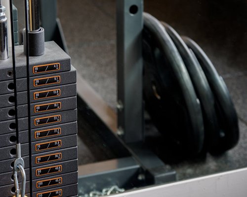 Close up of high quality weights and gym equipment